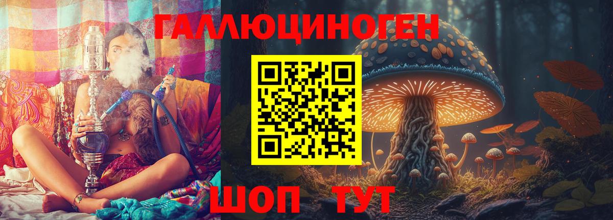 даркнет сайт  Вход с VPN  Великий Устюг  Псилоцибиновые грибы GOLDEN TEACHER 